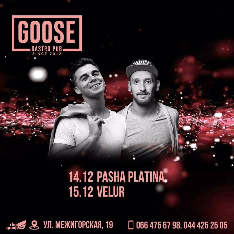 Pasha Platina Velur Goose Gastro Pub Киев