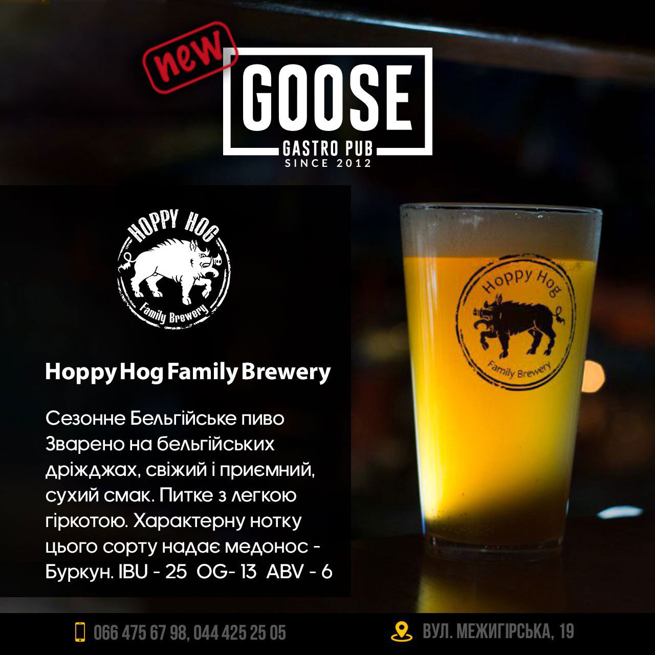 Випити бельгійського пива Hoppy Hog Family Brewery в пабі. Паб на Подолі у Києві Goose Gastro Pub