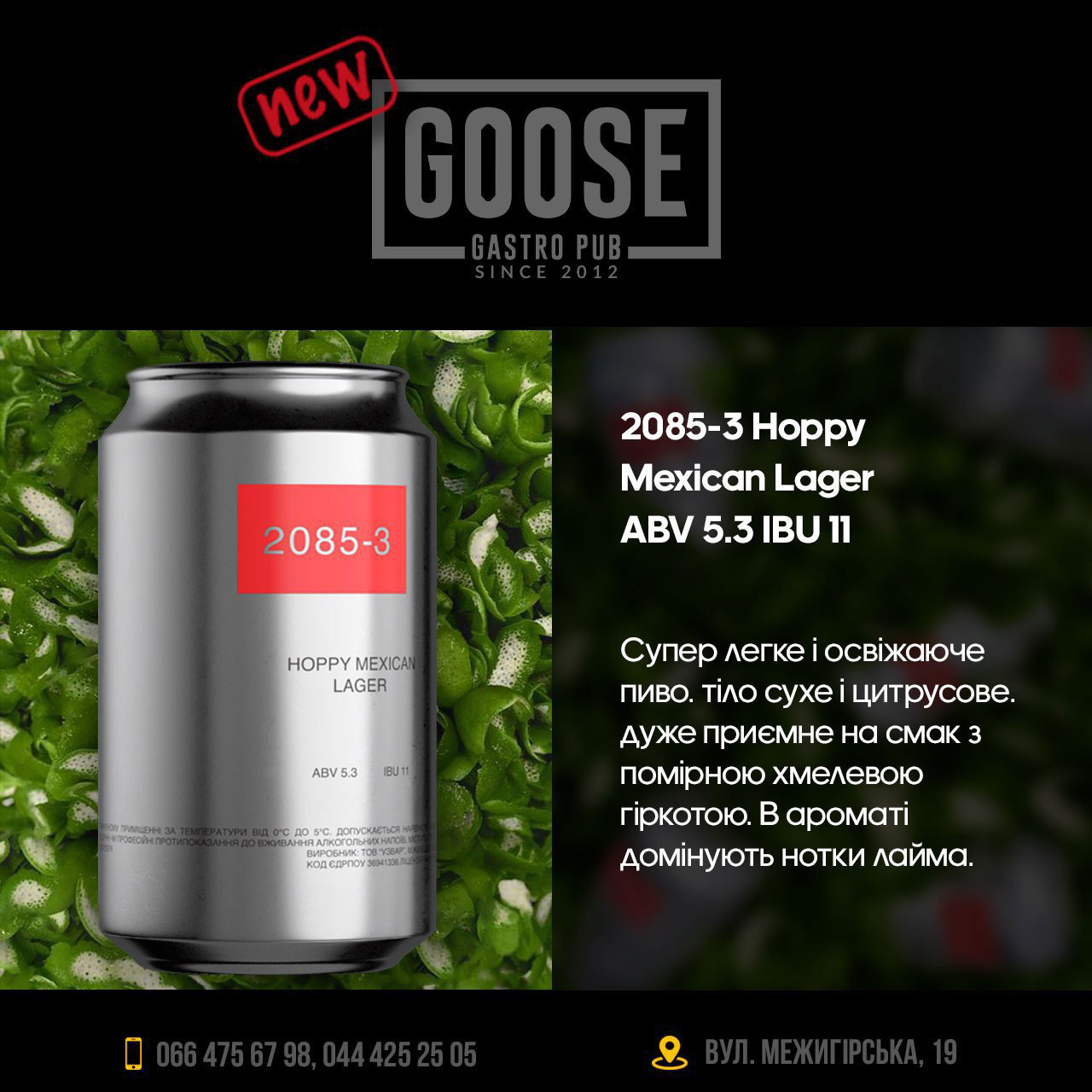 Випити нове пиво 2085-3 Hoppy Mexican Lager в пабі. Паб на Подолі у Києві Goose Gastro Pub