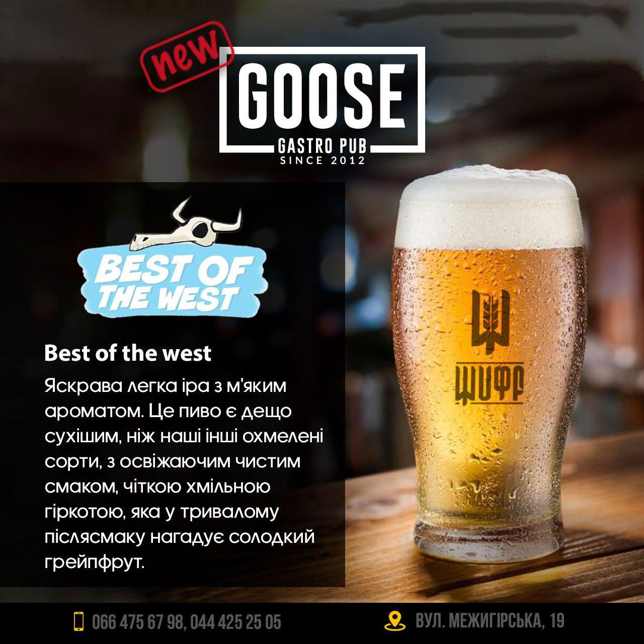 Випити нове пиво Best of the west в пабі. Паб на Подолі у Києві Goose Gastro Pub