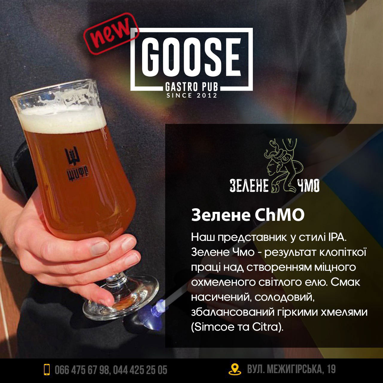 Випити пиво Зелене Чмо в пабі. Паб на Подолі у Києві Goose Gastro Pub