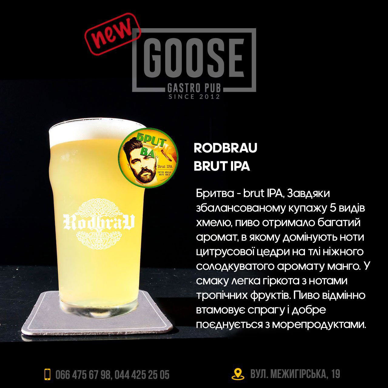 Випити пива Rodbrau Brut IPA в пабі. Паб на Подолі у Києві Goose Gastro Pub
