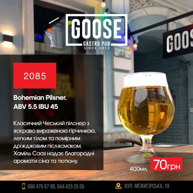 Випити нове пиво 2085 Bohemian Pilsner в пабі. Паб на Подолі у Києві Goose Gastro Pub