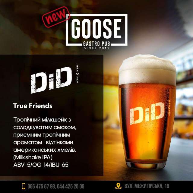 Випити нове пиво DiD Brewery True Friends в пабі. Паб на Подолі у Києві Goose Gastro Pub