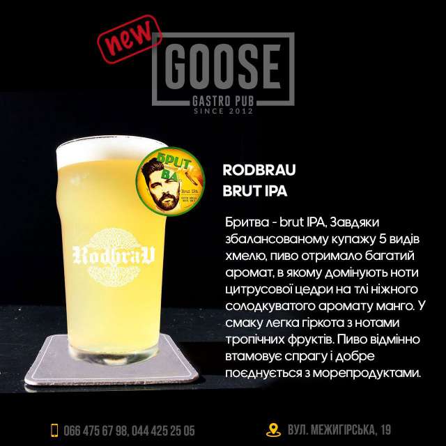 Випити пива Rodbrau Brut IPA в пабі. Паб на Подолі у Києві Goose Gastro Pub
