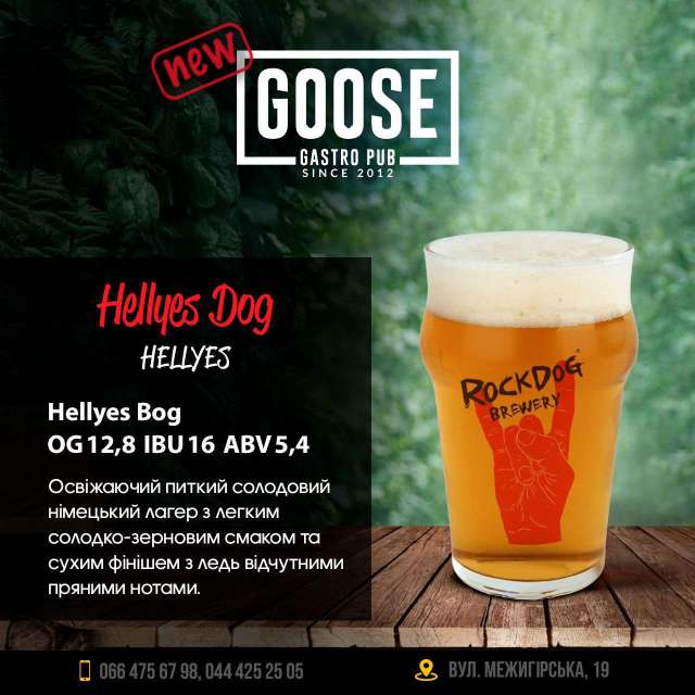 Выпить новое пиво Hellyes Dog в пабе. Паб на Подоле в Киеве Goose Gastro Pub