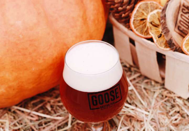 Еда и напитки Goose Gastro Pub Подол Киев Ресторан